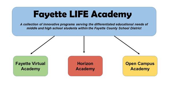 Fayette LIFE Academy Structure 